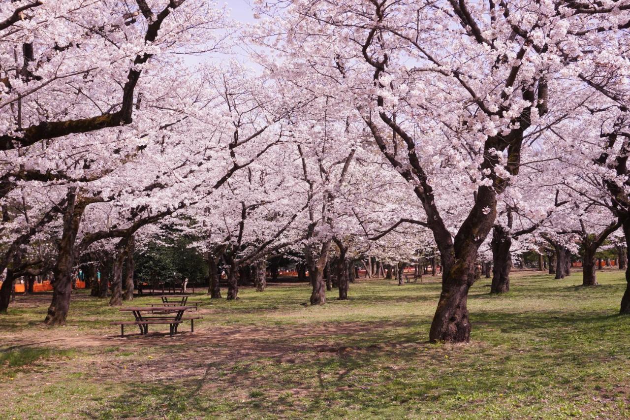 渋谷 広め50M2 2Ldk 代々木公園駅徒歩5分 家族におすすめ Lägenhet Tokyo prefektur Exteriör bild